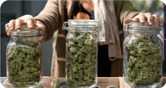 growshop